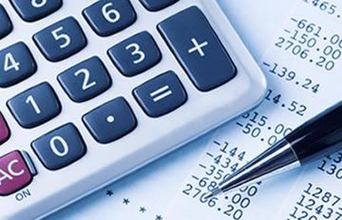 Computer Audit-01 Financial Accounting and Budgeting